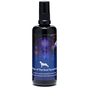 Energy Spray Origin of The Soul Symphony